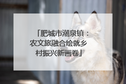 肥城市潮泉镇：农文旅融合绘就乡村振兴新画卷