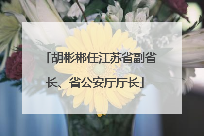 胡彬郴任江苏省副省长、省公安厅厅长