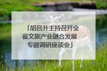 胡昌升主持召开全省文旅产业融合发展专题调研座谈会