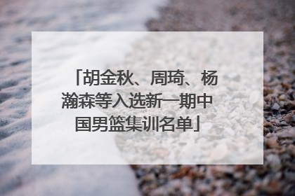 胡金秋、周琦、杨瀚森等入选新一期中国男篮集训名单