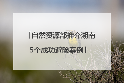 自然资源部推介湖南5个成功避险案例