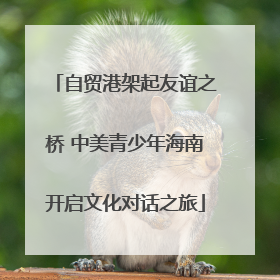 自贸港架起友谊之桥 中美青少年海南开启文化对话之旅