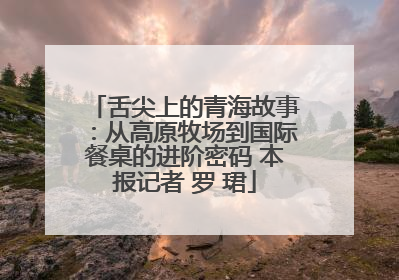 舌尖上的青海故事：从高原牧场到国际餐桌的进阶密码 本报记者 罗 珺