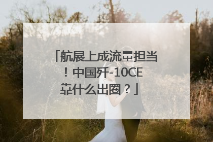 航展上成流量担当！中国歼-10CE靠什么出圈？