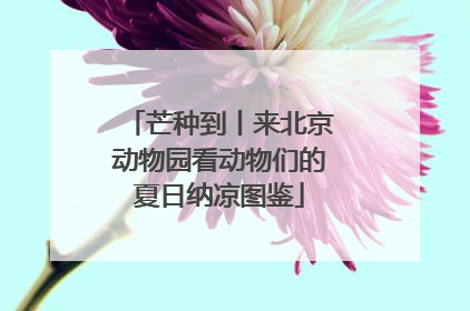 芒种到丨来北京动物园看动物们的夏日纳凉图鉴