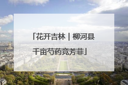 花开吉林｜柳河县千亩芍药竞芳菲
