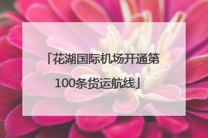 花湖国际机场开通第100条货运航线