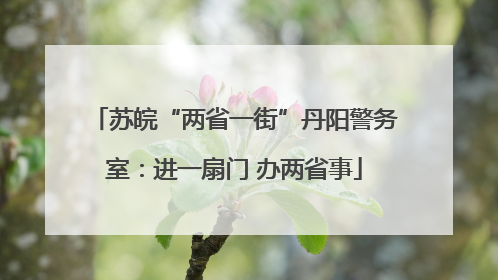 苏皖“两省一街”丹阳警务室：进一扇门 办两省事