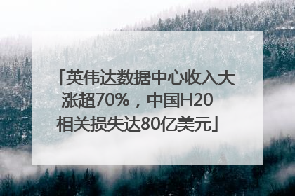 英伟达数据中心收入大涨超70%，中国H20相关损失达80亿美元
