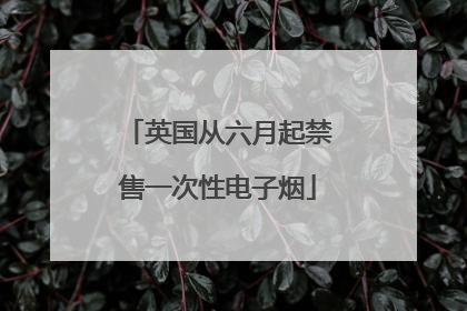 英国从六月起禁售一次性电子烟