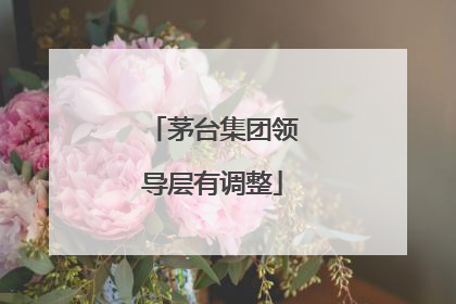 茅台集团领导层有调整