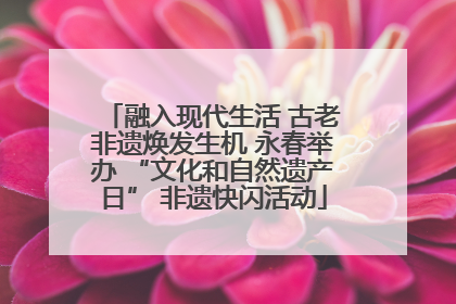 融入现代生活 古老非遗焕发生机 永春举办 “文化和自然遗产日” 非遗快闪活动