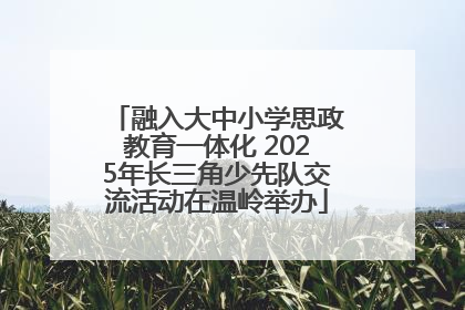 融入大中小学思政教育一体化 2025年长三角少先队交流活动在温岭举办
