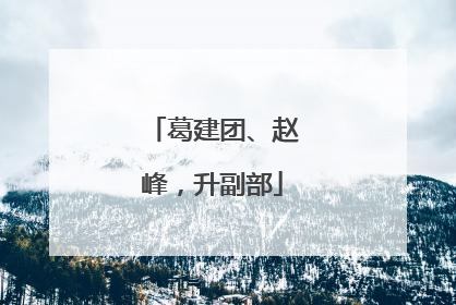葛建团、赵峰，升副部