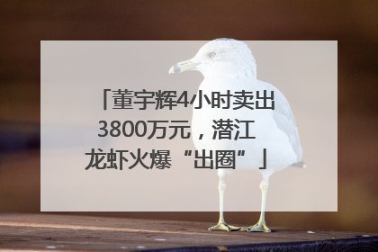 董宇辉4小时卖出3800万元，潜江龙虾火爆“出圈”