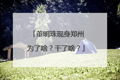 董明珠现身郑州 为了啥？干了啥？