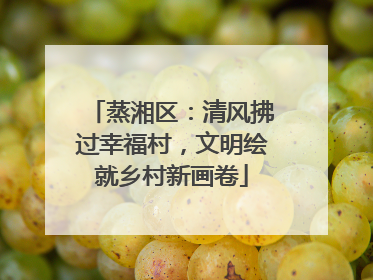 蒸湘区：清风拂过幸福村，文明绘就乡村新画卷