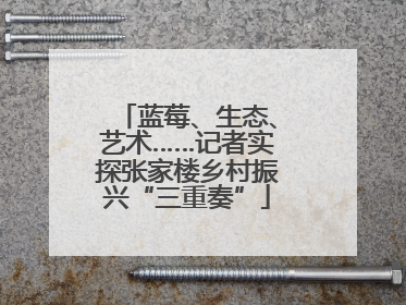 蓝莓、生态、艺术……记者实探张家楼乡村振兴“三重奏”
