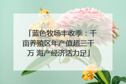 蓝色牧场丰收季：千亩养殖区年产值超三千万 海产经济活力足
