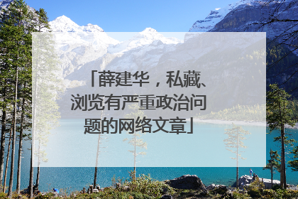 薛建华，私藏、浏览有严重政治问题的网络文章