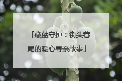 藏蓝守护：街头巷尾的暖心寻亲故事