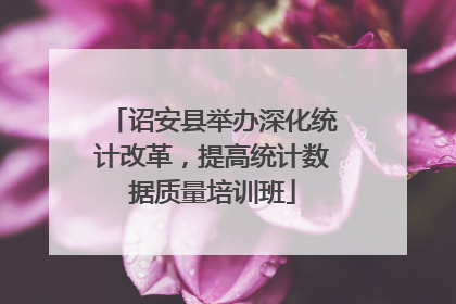 诏安县举办深化统计改革，提高统计数据质量培训班
