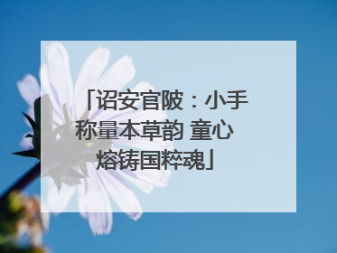 诏安官陂：小手称量本草韵 童心熔铸国粹魂