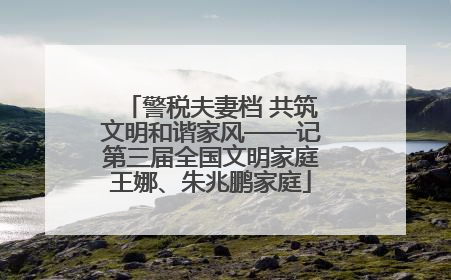 警税夫妻档 共筑文明和谐家风——记第三届全国文明家庭王娜、朱兆鹏家庭