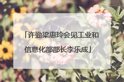 许勤梁惠玲会见工业和信息化部部长李乐成