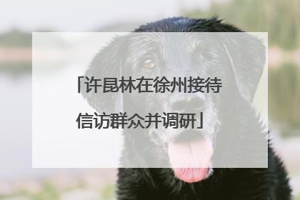 许昆林在徐州接待信访群众并调研