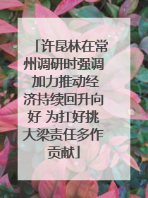 许昆林在常州调研时强调 加力推动经济持续回升向好 为扛好挑大梁责任多作贡献