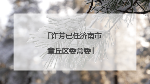 许芳已任济南市章丘区委常委
