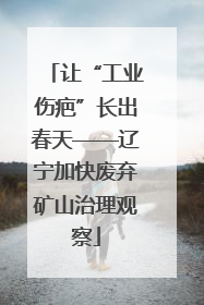 让“工业伤疤”长出春天——辽宁加快废弃矿山治理观察