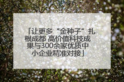 让更多“金种子”扎根成都 高价值科技成果与300余家优质中小企业精准对接