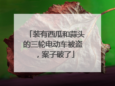 装有西瓜和蒜头的三轮电动车被盗，案子破了