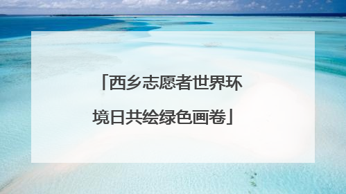 西乡志愿者世界环境日共绘绿色画卷