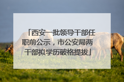 西安一批领导干部任职前公示，市公安局两干部拟学历破格提拔