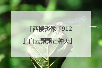 西楼影像「912」白云飘飘芒种天