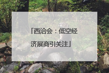西洽会：低空经济展商引关注