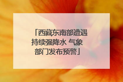 西藏东南部遭遇持续强降水 气象部门发布预警