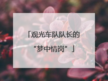 观光车队队长的“梦中情岗”