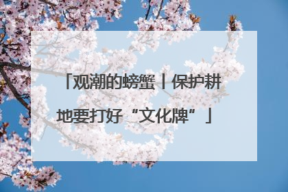 观潮的螃蟹丨保护耕地要打好“文化牌”