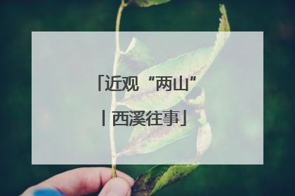 近观“两山”丨西溪往事
