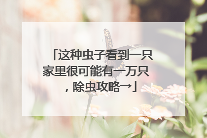 这种虫子看到一只家里很可能有一万只，除虫攻略→