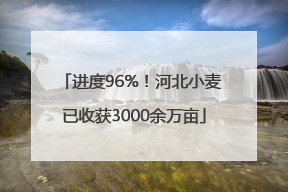 进度96%！河北小麦已收获3000余万亩