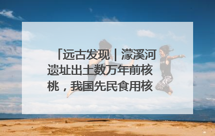 远古发现｜濛溪河遗址出土数万年前核桃，我国先民食用核桃历史大幅提前