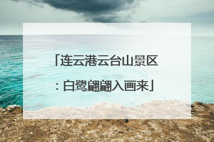 连云港云台山景区：白鹭翩翩入画来