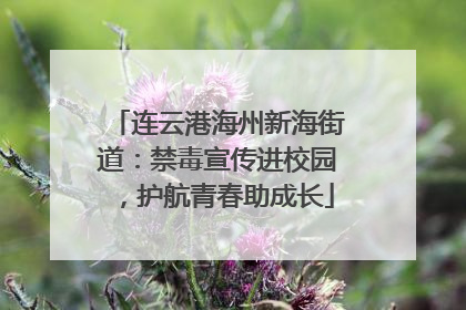 连云港海州新海街道：禁毒宣传进校园，护航青春助成长