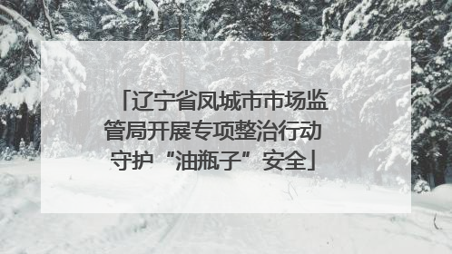 辽宁省凤城市市场监管局开展专项整治行动守护“油瓶子”安全
