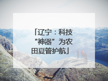 辽宁：科技“神器”为农田夏管护航